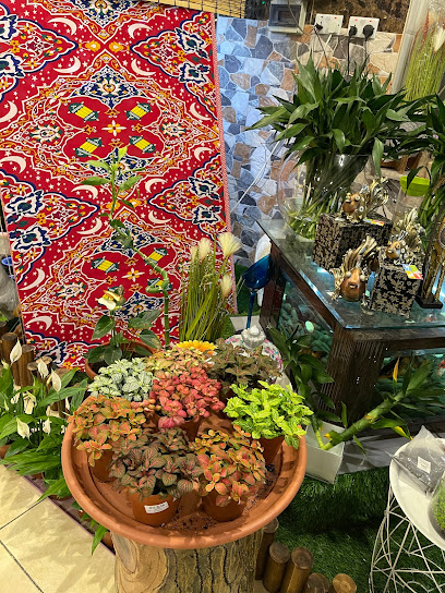 Aquatic Center Pet Supplies - Saudi Arabia|Taif 26523|Al Salamah|الامانة