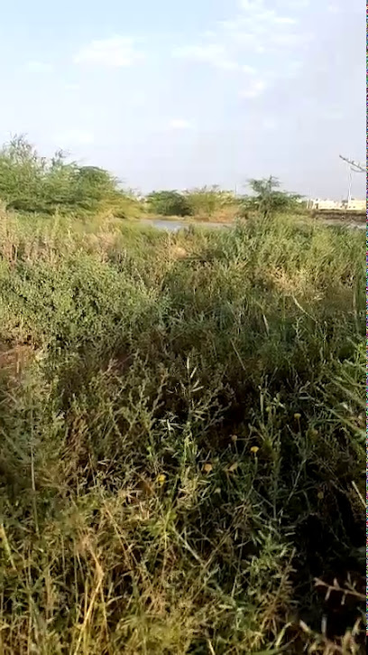 مربط عالية نجد لتعليم الفروسية - Saudi Arabia|Afif 17536|7751|5546