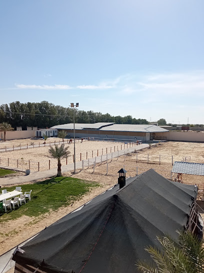 Al Rayyes Stud مربط الريس - Saudi Arabia|طريق ابو حدرية Abo hadryah road Abo man ابو معن المنطقة الشرقة 32942