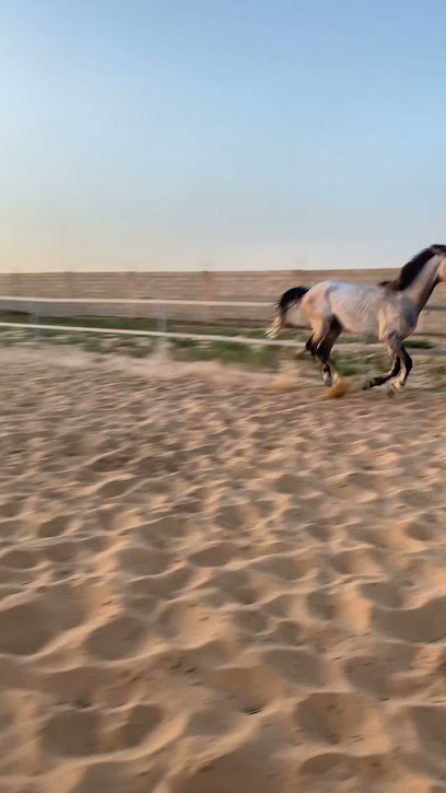 اسطبل خوالي - Saudi Arabia|Riyadh Al Khabra 54688|رياض الخبراء، القصيم